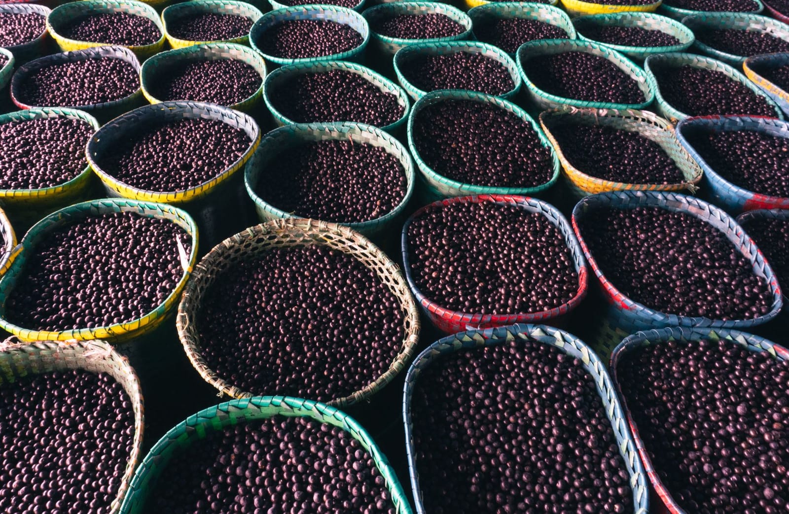 Deep purple acai berries
