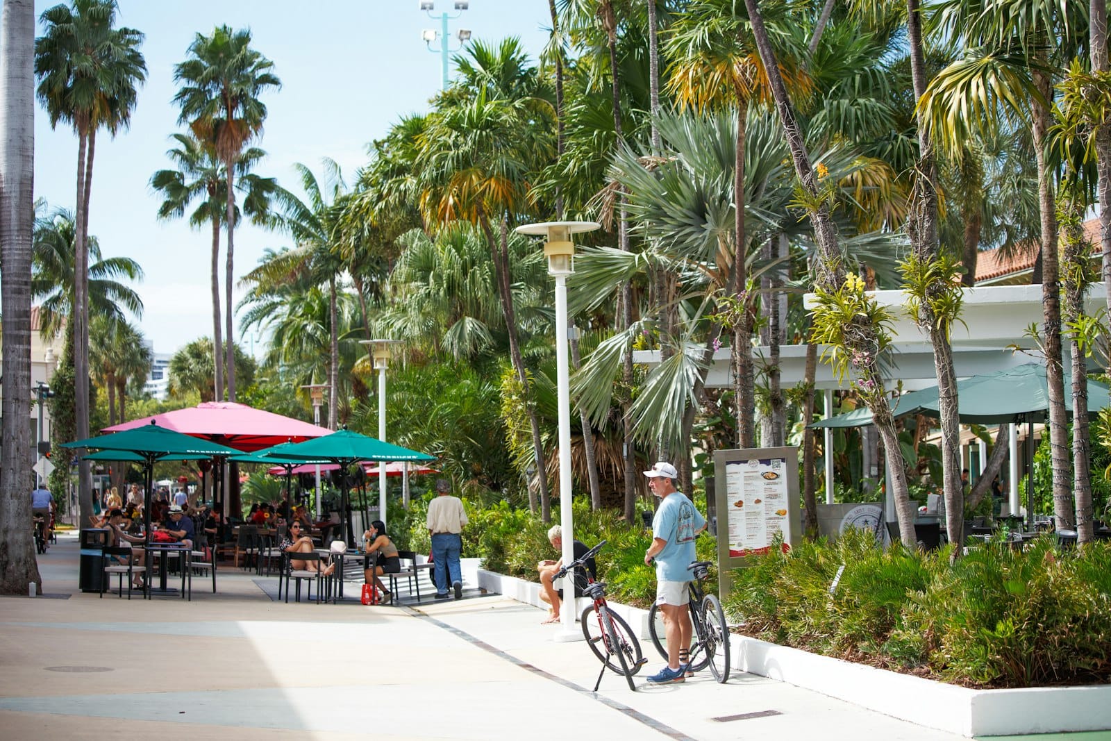 Leafy open-air dining precinct with cafes