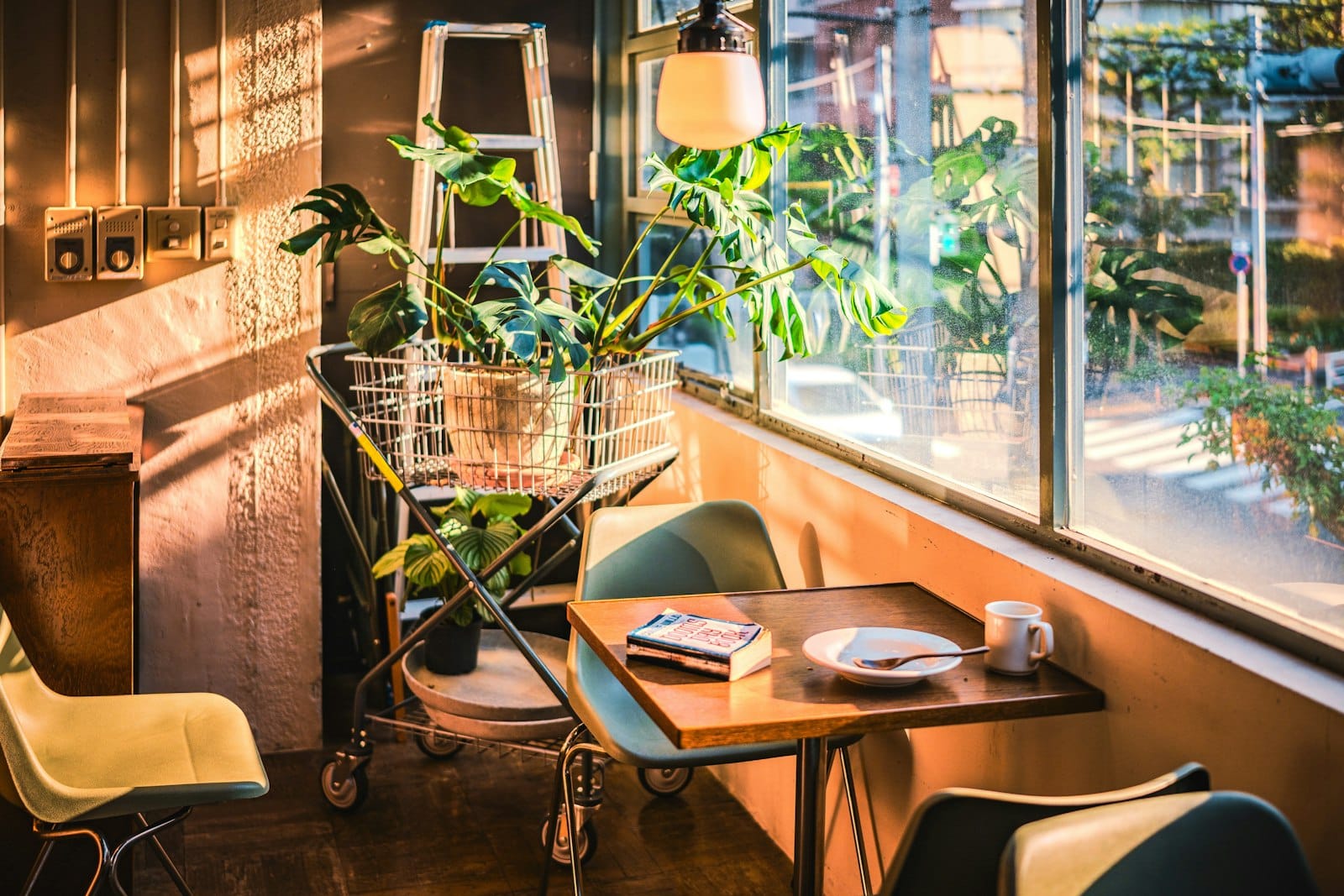 Bright, airy healthy cafe interior with plants