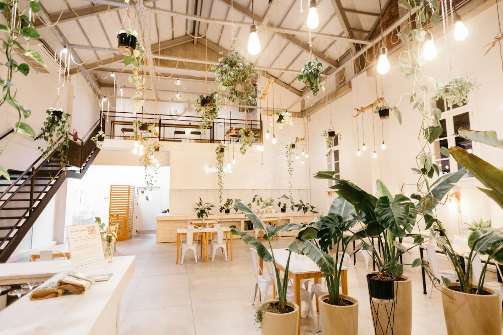 Cosy, plant-filled cafe interior in Southport