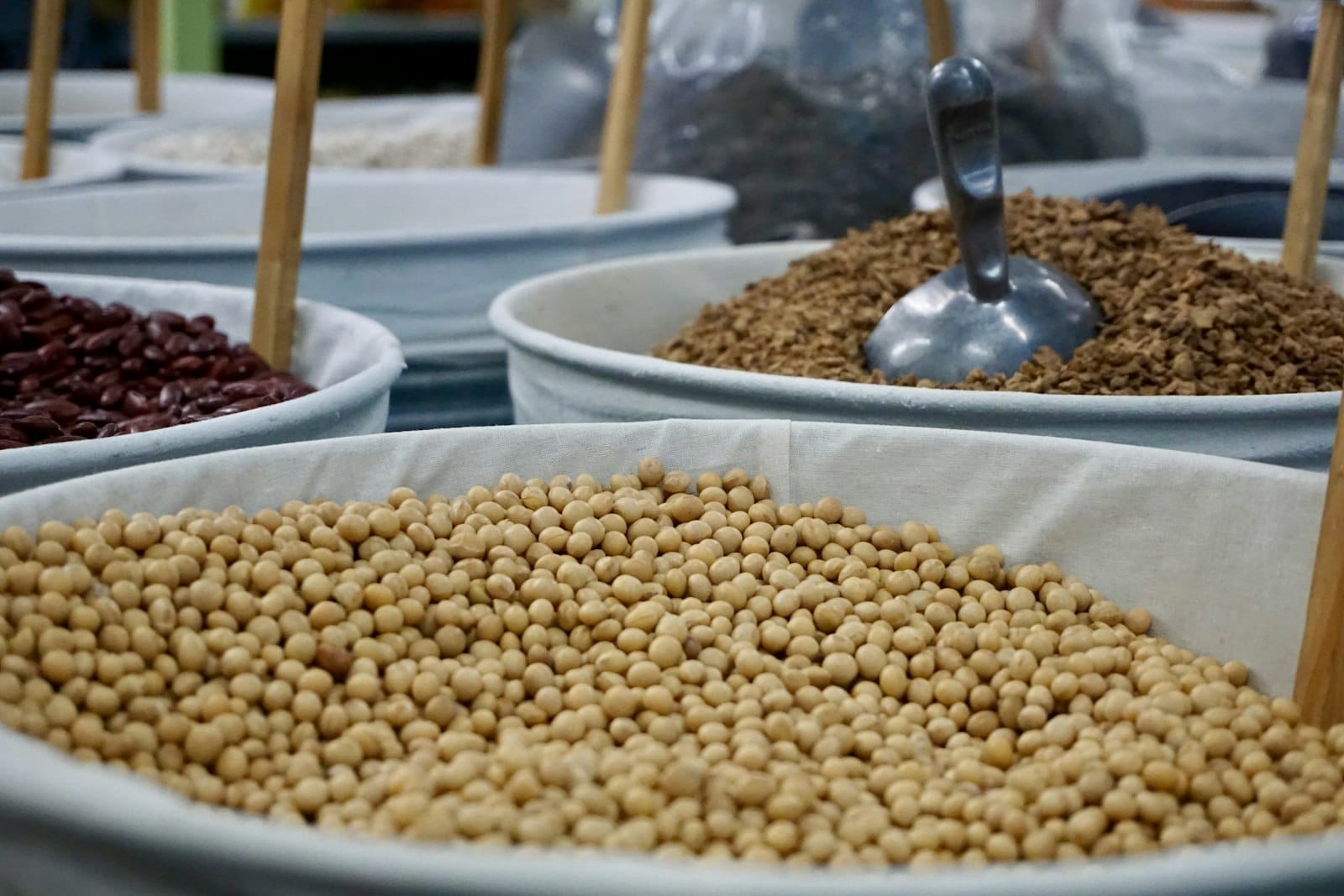 Dried soybeans, the base of tempeh