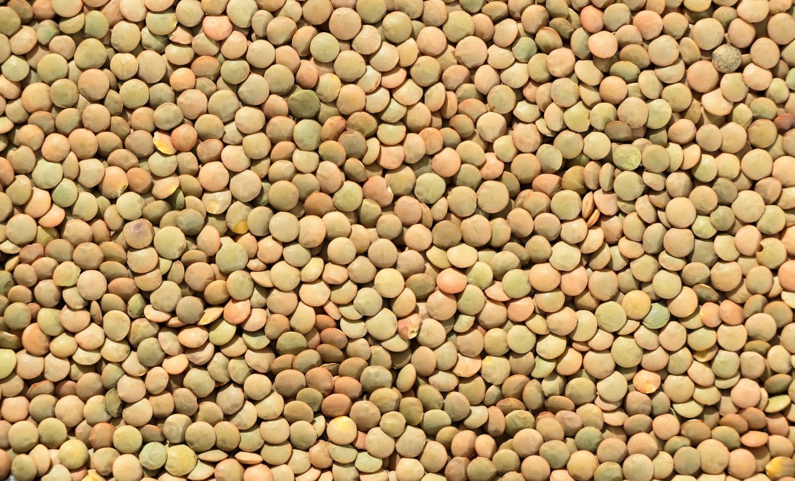 Fibre-rich legumes, beans and lentils