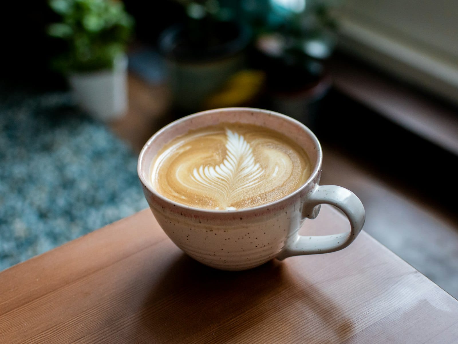 Best Plant-Milk Coffee on the Gold Coast