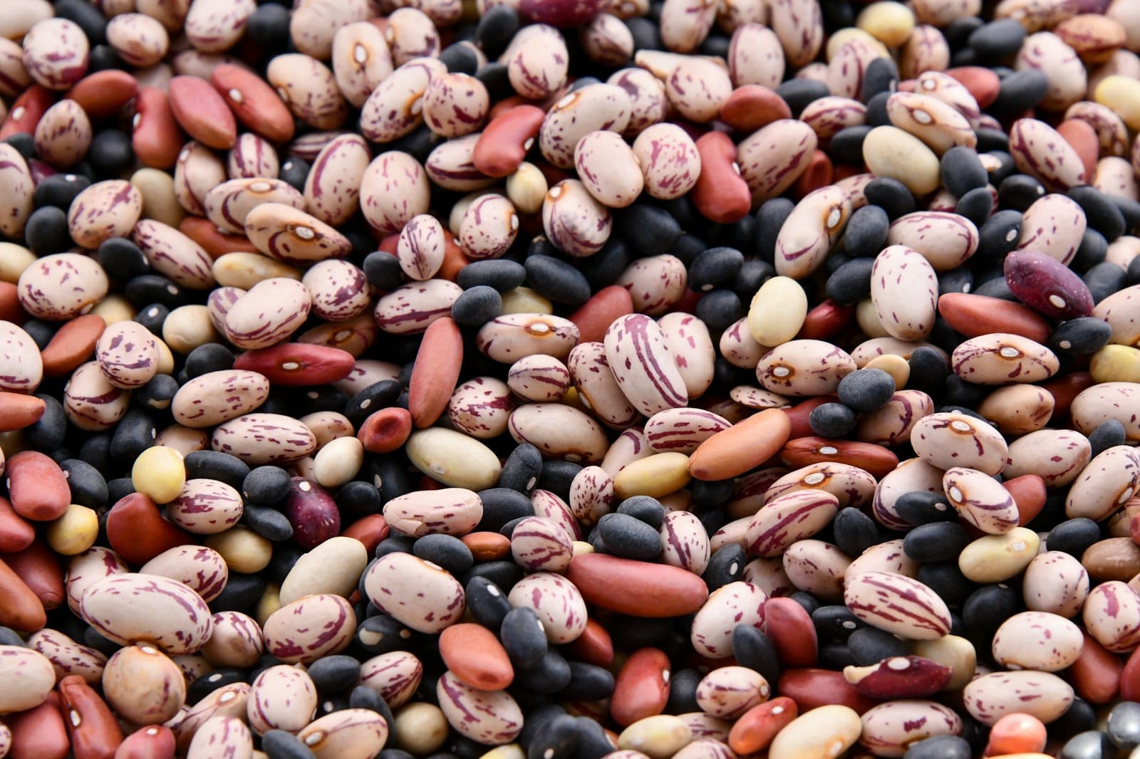 Bulk legumes and beans in jars