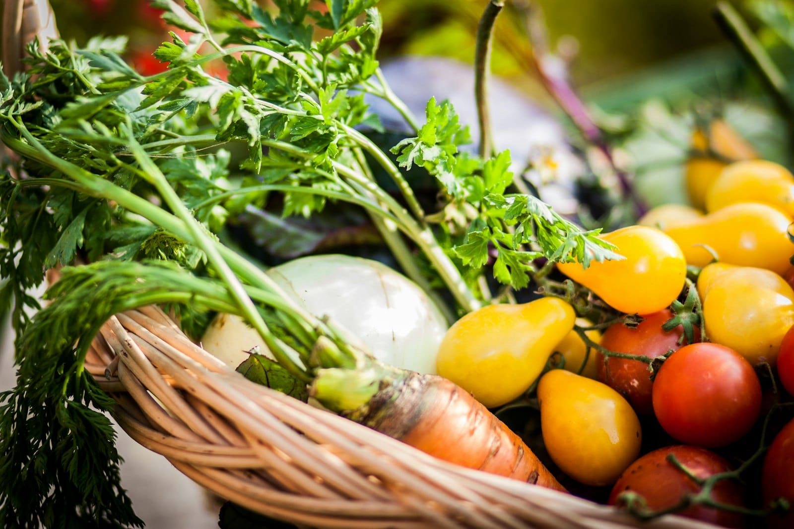 A grocery basket of vegetables