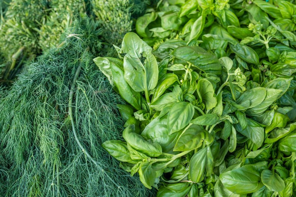 A bunch of fresh leafy greens