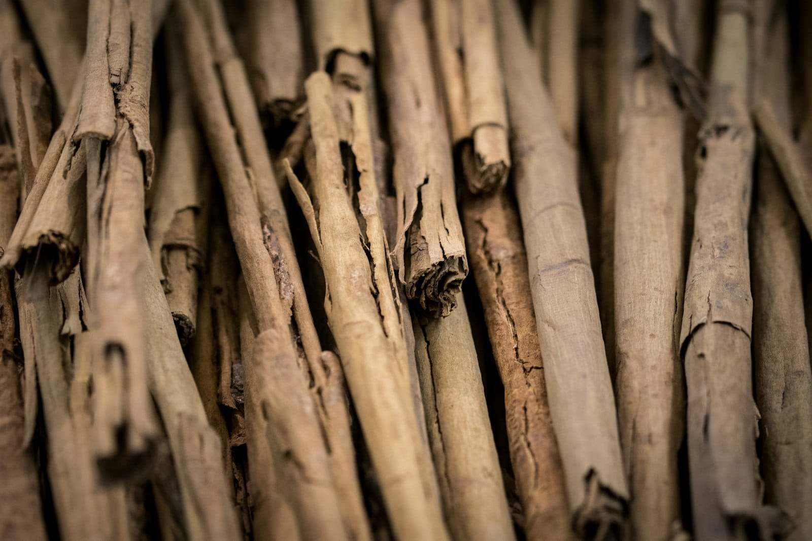 A bundle of cinnamon sticks