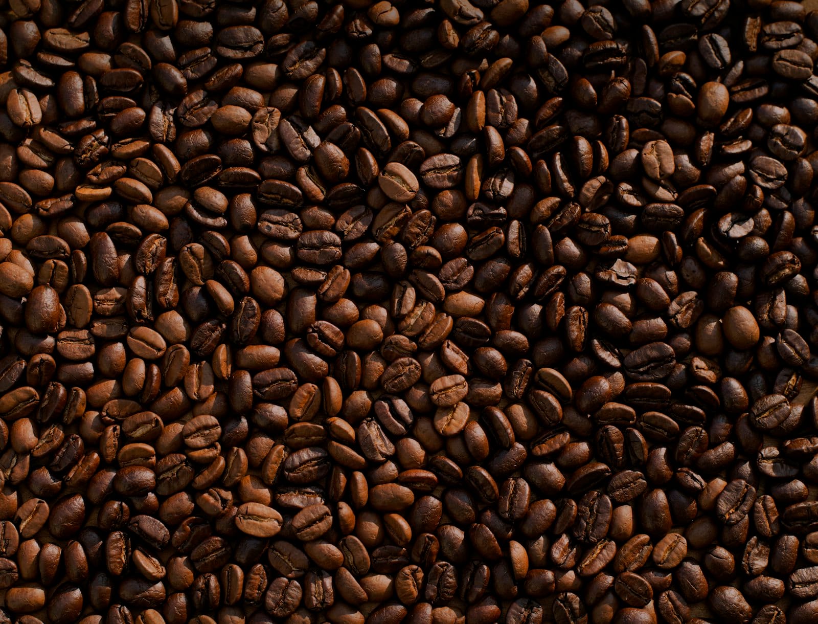 Close-up of roasted coffee beans