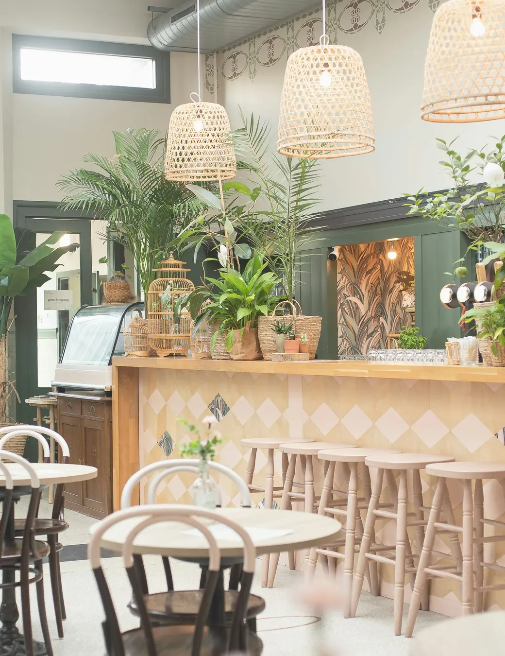A bright, plant-filled café dining room with rattan pendant lights and bentwood chairs