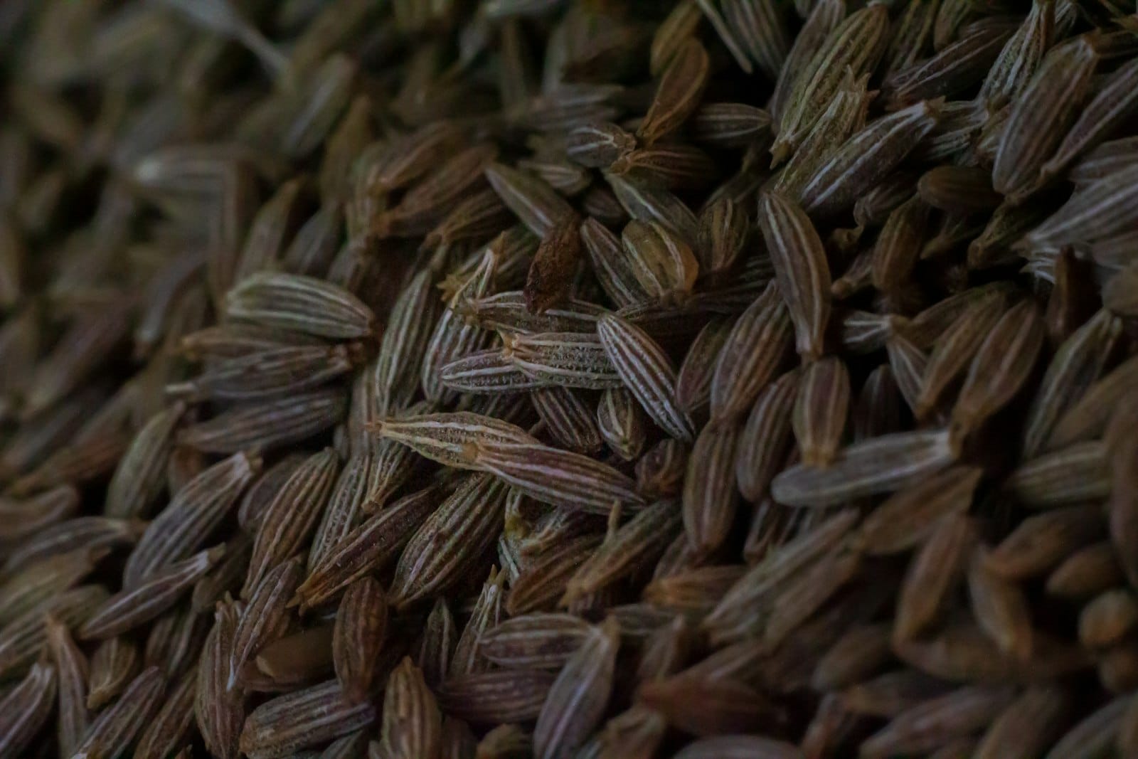 A close-up of cumin seeds