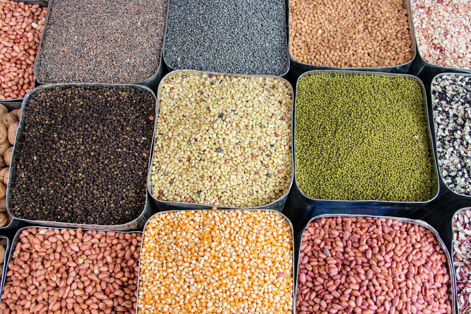 Bulk food bins with grains and nuts