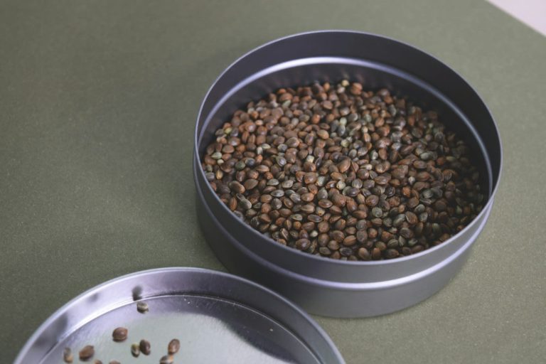 Hemp Seeds: Benefits & How to Use Them