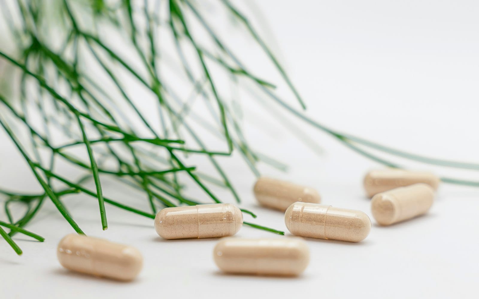 Algae-based supplement capsules