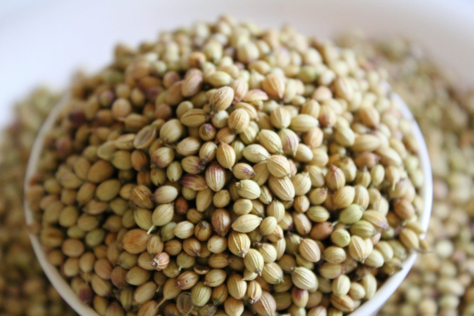 A bowl of hemp seeds