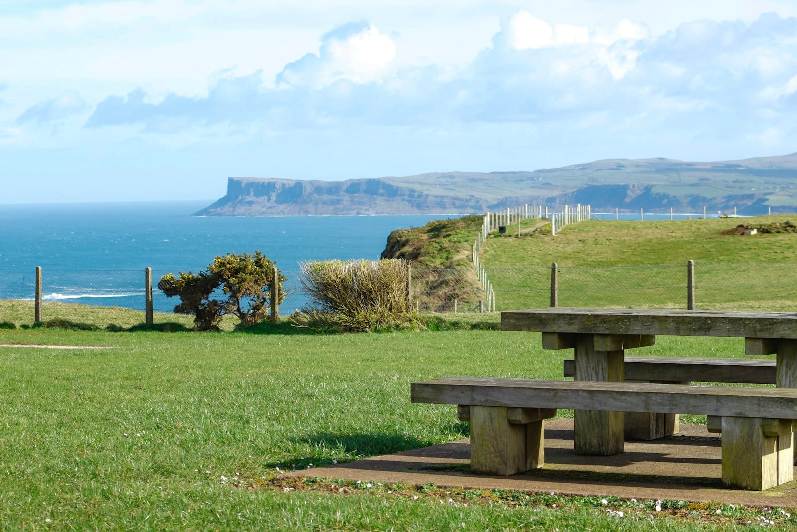 Relaxed coastal outdoor dining