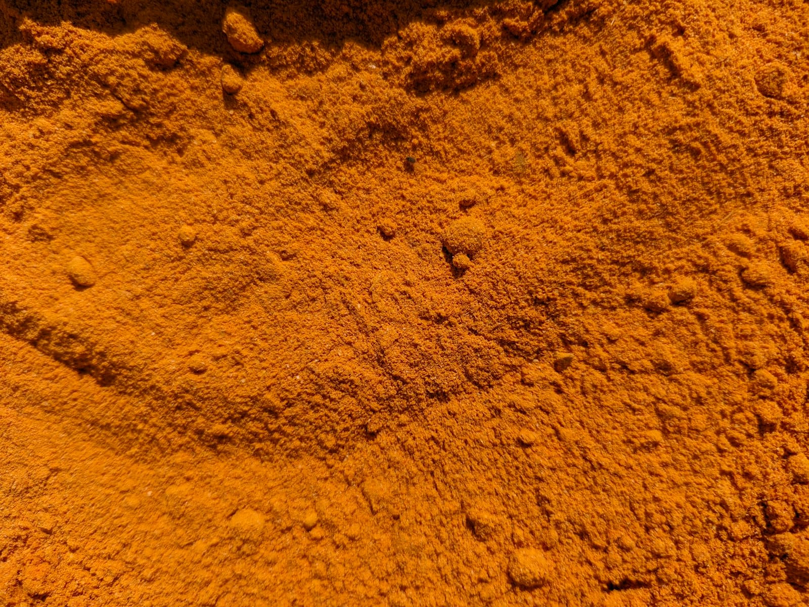 Turmeric powder and root spice