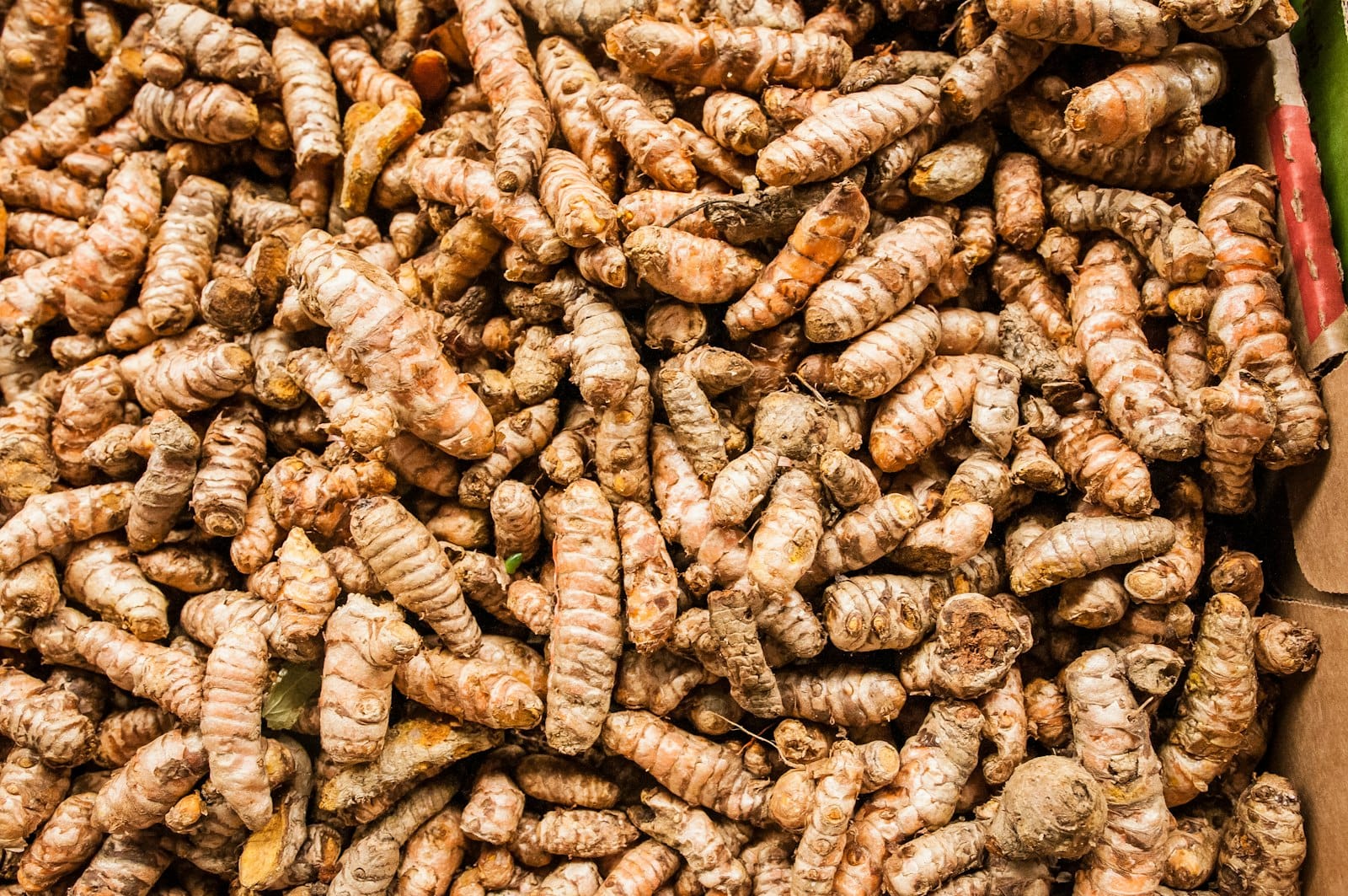 Fresh turmeric root
