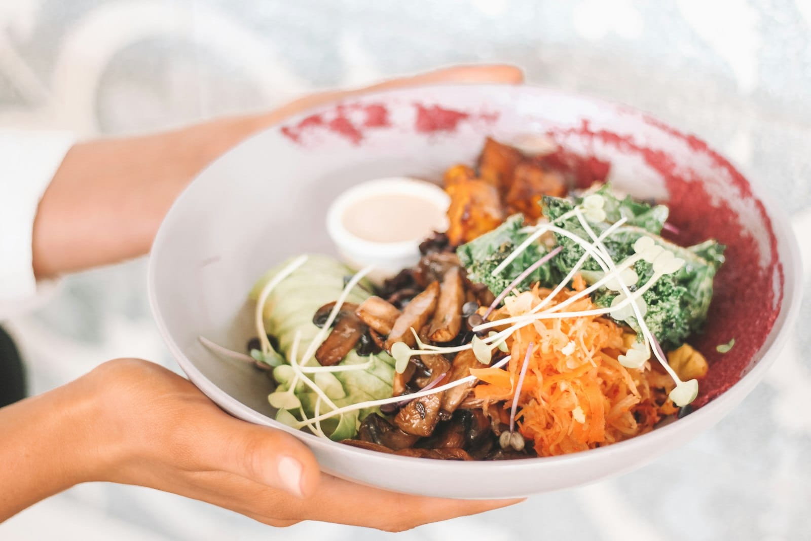 Vegan-Friendly Gold Coast: The Ultimate Guide