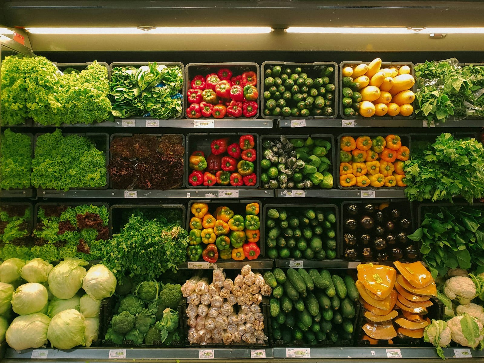 Health food store shelves stocked with organic products